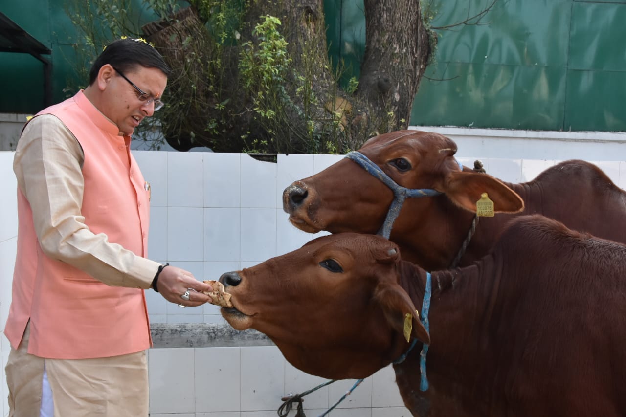  इगास के अवसर पर मुख्यमंत्री  पुष्कर सिंह धामी ने की  प्रदेशवासियों  की सुख- समृद्धि एवं खुशहाली की कामना ।