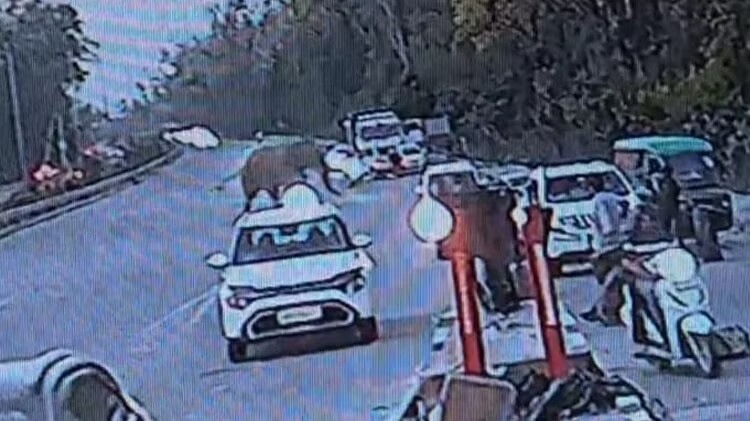 लच्छीवाला टोल प्लाजा पर अचानक आया हाथी, मची अफरा-तफरी