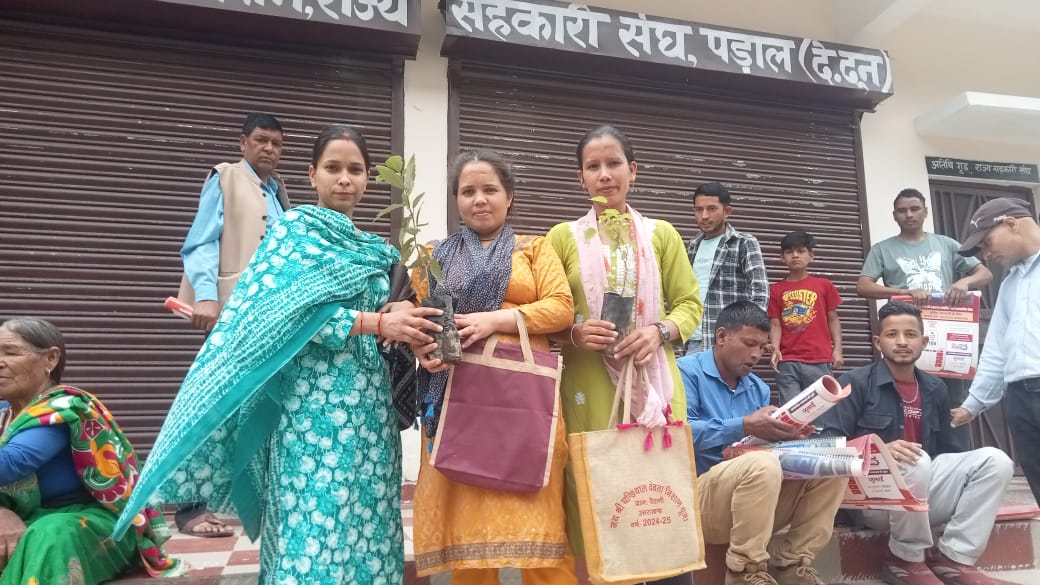 पैठाणी में “एक पेड़ मां के नाम” योजना के तहत 100 फलदार वृक्षों का रोपण