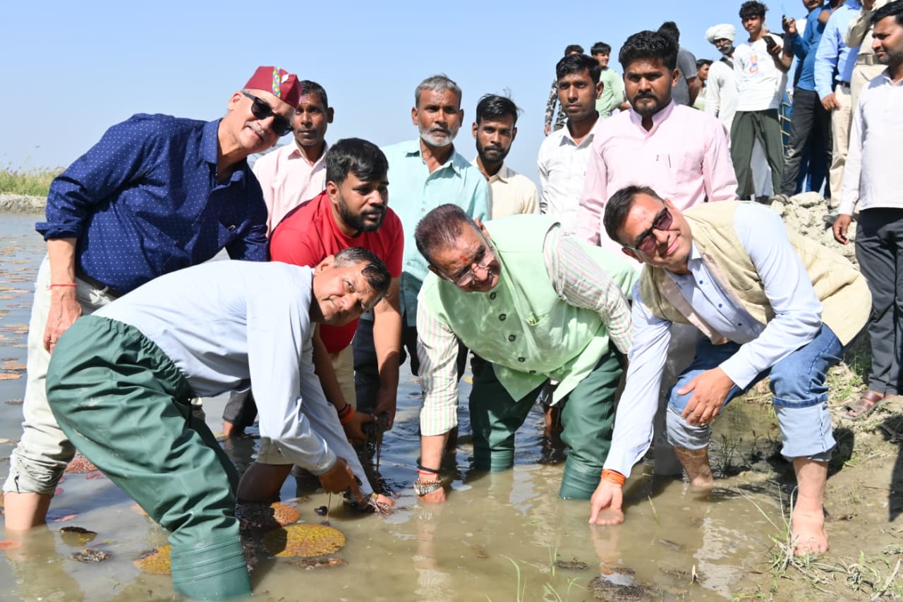 कृषि मंत्री गणेश जोशी ने हरिद्वार में मखाना की खेती का किया औपचारिक शुभारंभ.