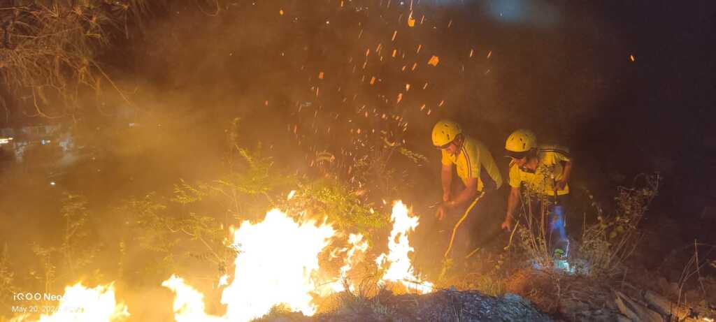 उत्तरकाशी: SDRF उत्तराखंड की टीम ने जंगल की आग पर पाया काबू