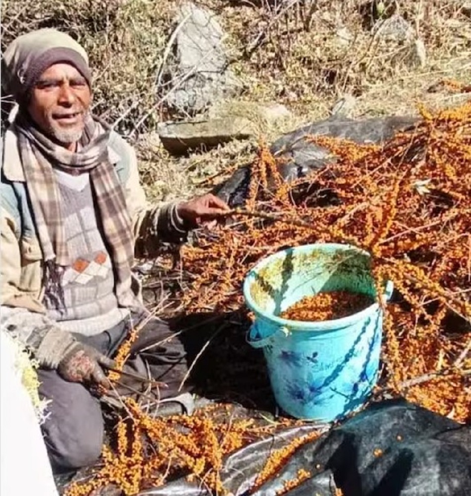 उत्तराखंड के पहाड़ी क्षेत्रों में फल, फूल सहित तमाम औषधियों की प्रचुरता: