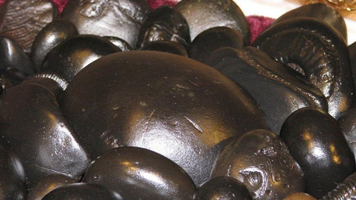 असली शालिग्राम की पहचान कैसे करें, क्या स्त्री शालिग्राम की पूजा कर सकती है जानें यहाँ