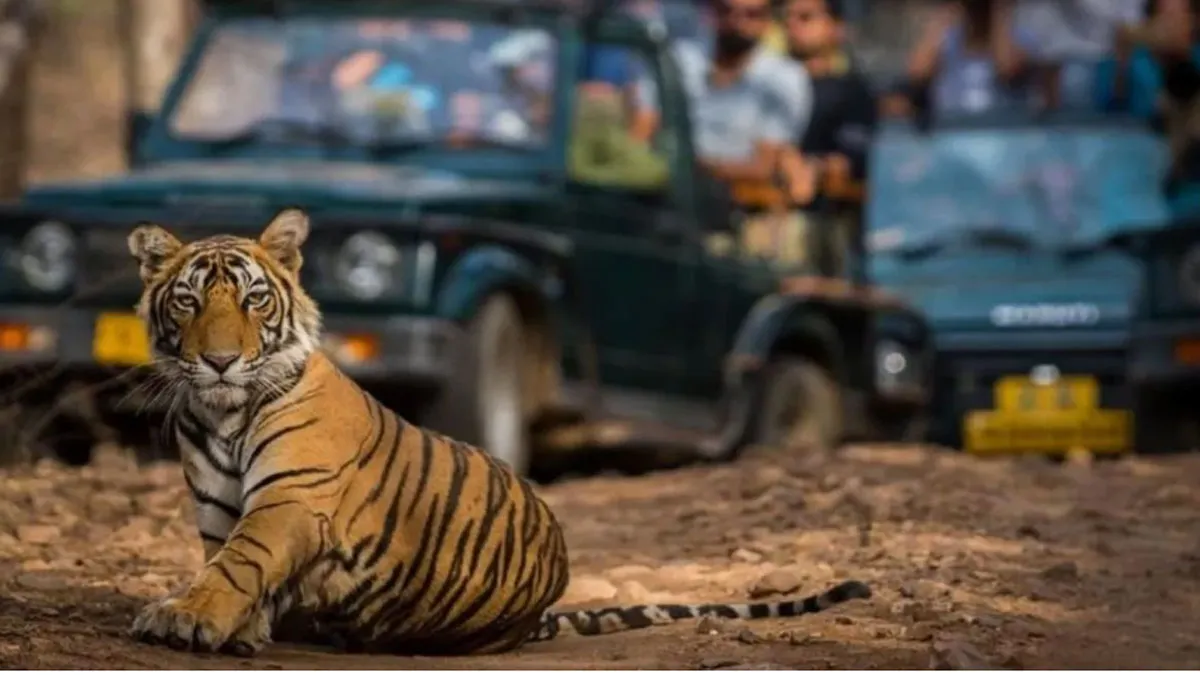 तीन महीने बाद खुले रामनगर के पर्यटन जोन, सैलानियों ने की रोमांचक जंगल सफारी की शुरुआत