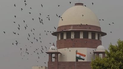  पैन कार्ड के लिए ट्रांसजेंडर पहचान प्रमाण पत्र माना जाएगा वैध दस्तावेज, केंद्र ने सुप्रीम कोर्ट से कहा