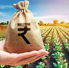 उत्तराखंड के दो जिलों के किसानों की बदलेगी किस्मत, प्रधानमंत्री धन धान्य कृषि योजना से आएगी खुशहाली