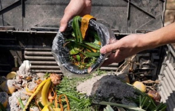 ‘साउथ एशियन रीजन में फूड लॉस एंड वेस्ट प्रीवेंशन के लिए भारतीय कृषि अनुसंधान परिषद द्वारा आयोजित’