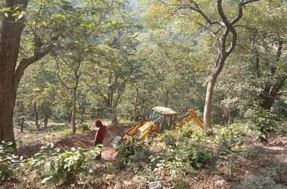 उत्तराखंड: संरक्षित पेड़ों के अवैध कटान पर कैबिनेट मंत्री के बेटे के खिलाफ मुकदमा दर्ज