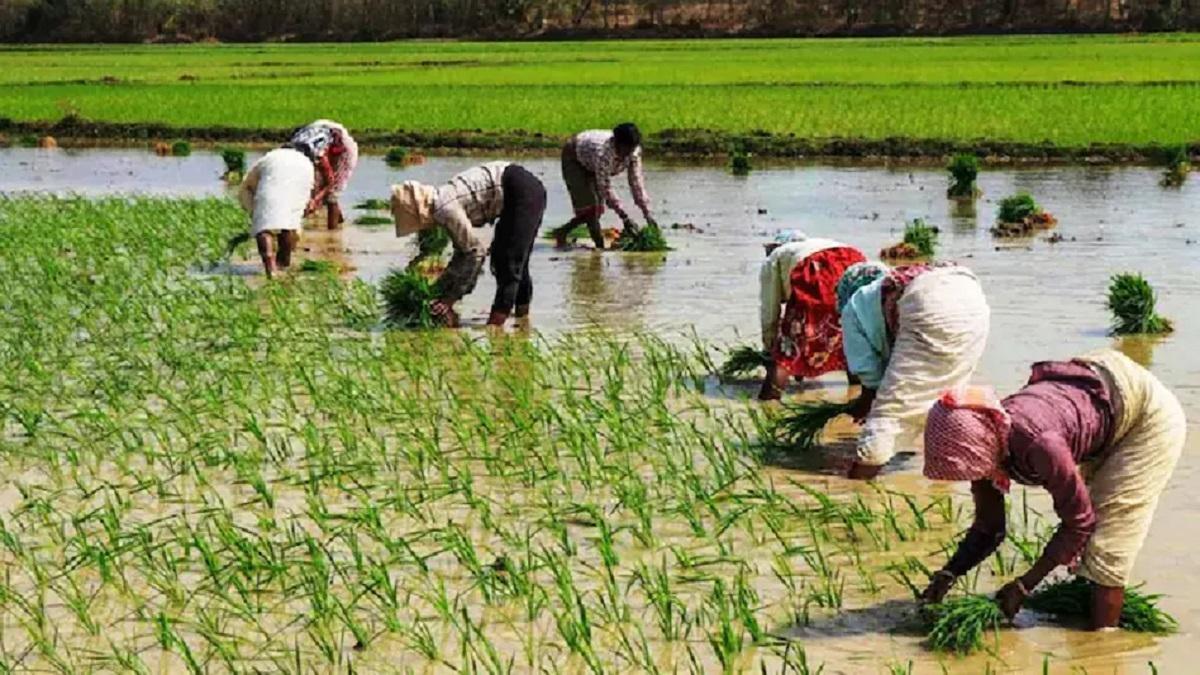 PM Kisan Yojana: भूलकर भी न करें ये गलती वरना अकाउंट में नहीं पहुंचेगी पीएम किसान योजना की 12वीं किस्त