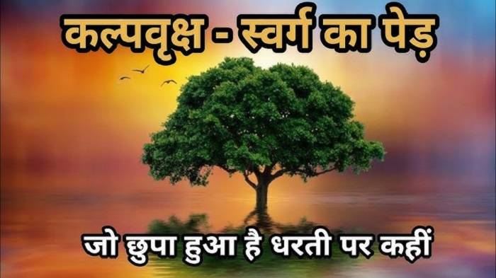 क्या आप जानते है कल्पवृक्ष के उत्पत्ति का रहस्य ?