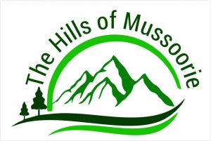VC MDDA बंशीधर तिवारी ने किया अलायम आवासीय परियोजना का निरीक्षण
