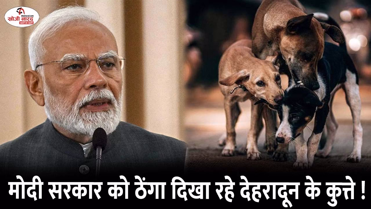 मोदी सरकार को ठेंगा दिखा रहे देहरादून के कुत्ते !