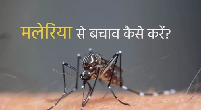 बड़ी ख़बर,,जानलेवा बन सकती है मलेरिया की बीमारी, इसे फैलने से रोकने के लिए अपनाएं ये टिप्स..
