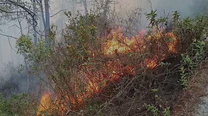 उत्तराखंड के जंगलों में आग का कहर: अब तक 112 घटनाएं, 136 हेक्टेयर से ज्यादा क्षेत्र प्रभावित