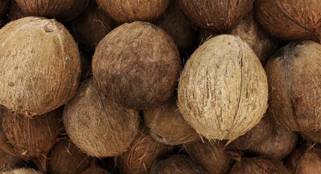 नारियल के अंडरगारमेंट पहने , होंगे फायदे ही फायदे