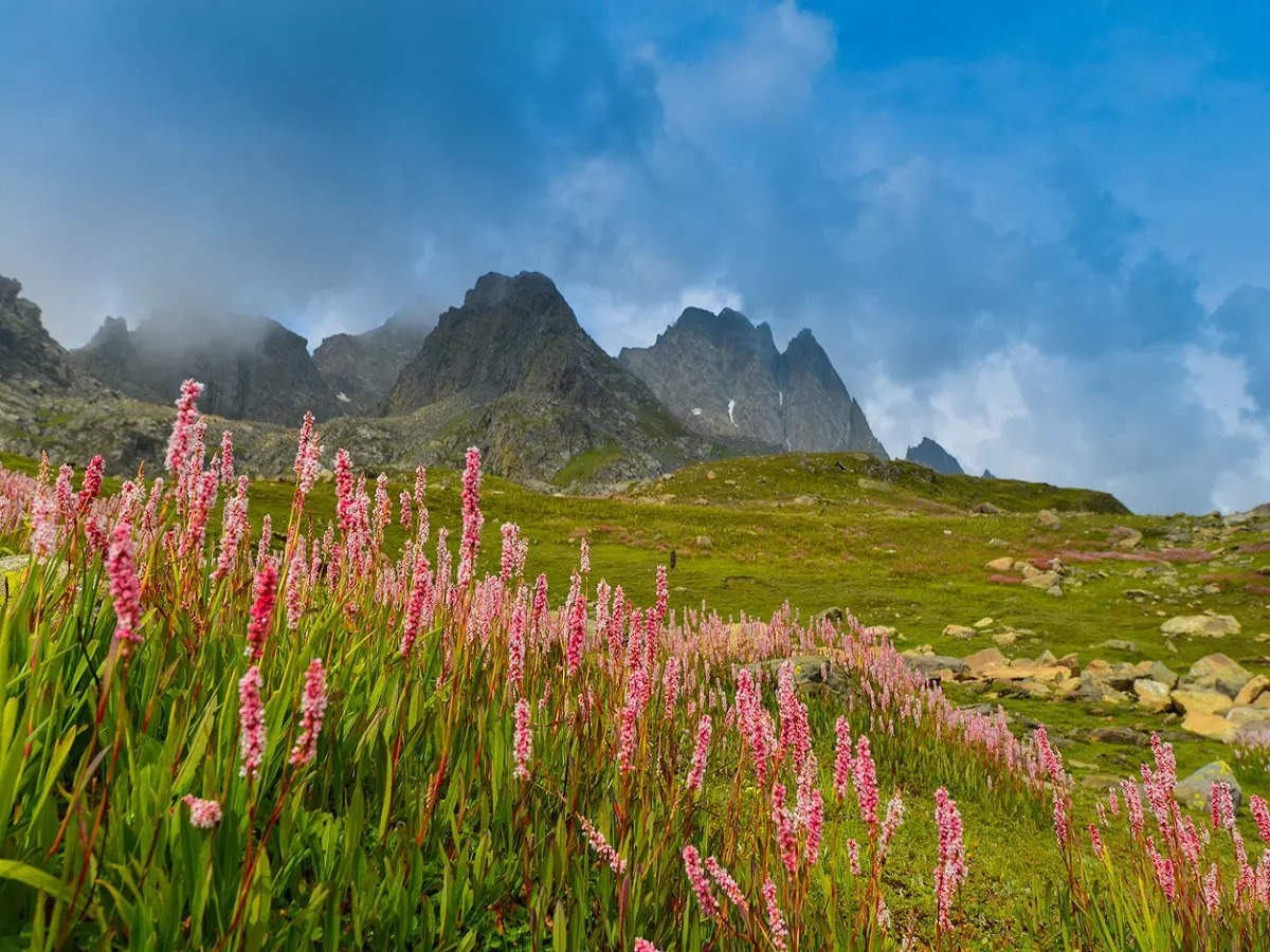 उत्तराखंड में कम बर्फबारी का फूलों की घाटी में दिखेगा असर