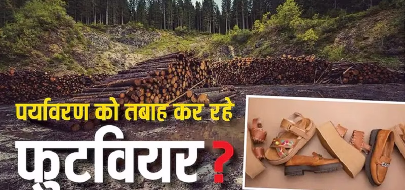 पर्यावरण की तबाही का कारण बन रहे जूते ?