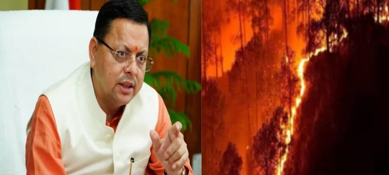 बड़ी खबर,, चुनाव के बाद एक्शन मोड में मुख्यमंत्री,,अफसरों के कसे पेंच...