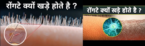 क्यों खड़े होते हैं रोंगटे ? जानिए फायदे और नुकसान