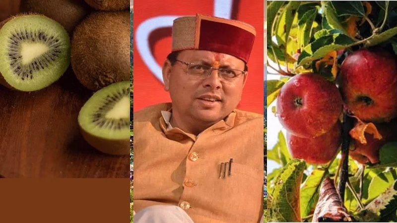 सेब की बेहतर पैकिंग के लिये कार्टन बांटेगी सरकार