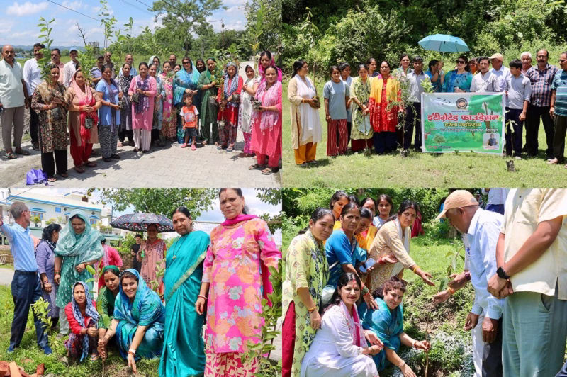 ट्री वुमेन लक्ष्मी अग्रवाल का अनोखा अभियान
