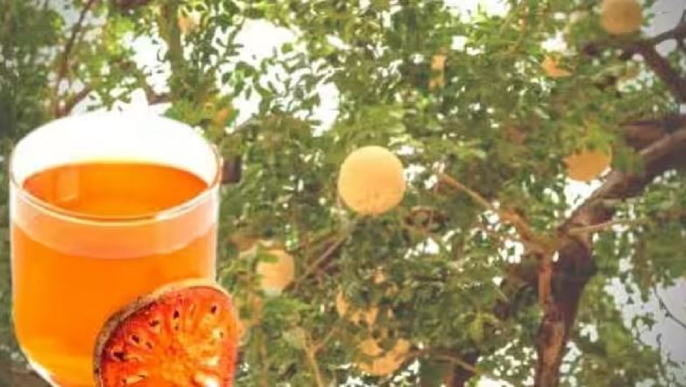 गर्मीयों में जमकर करे बेल के शरबत का सेवन,तंदुरुस्त रहेगा तन और मन: