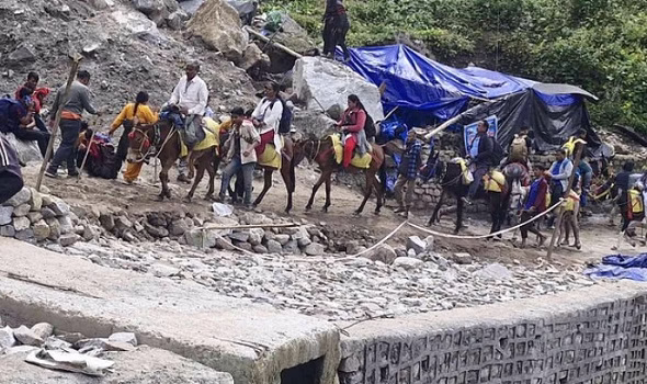 यात्रियों की बढ़ेंगी मुश्किलें, घोड़े-खच्चरों के इस्तेमाल पर 24 घंटे की रोक, 14 पशुओं की मौत